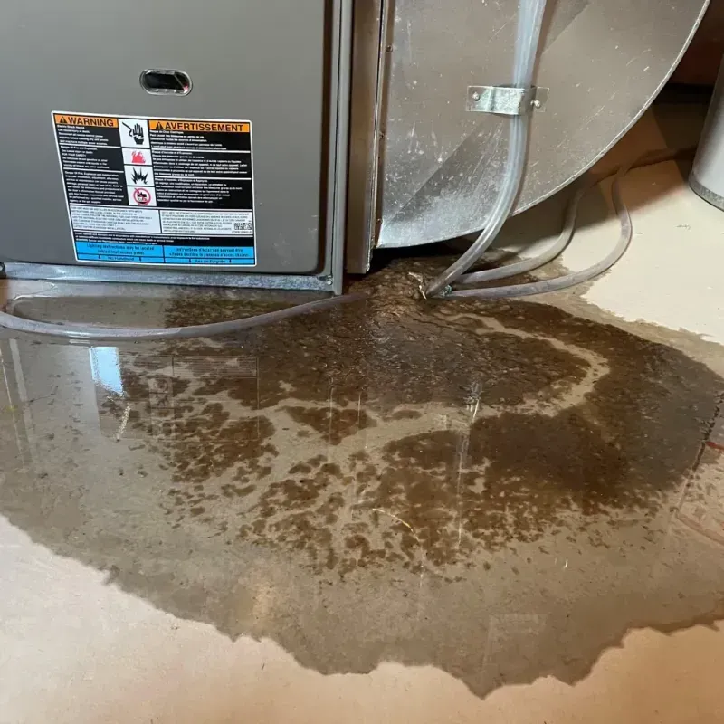 Appliance Leak Cleanup in Malheur County, OR